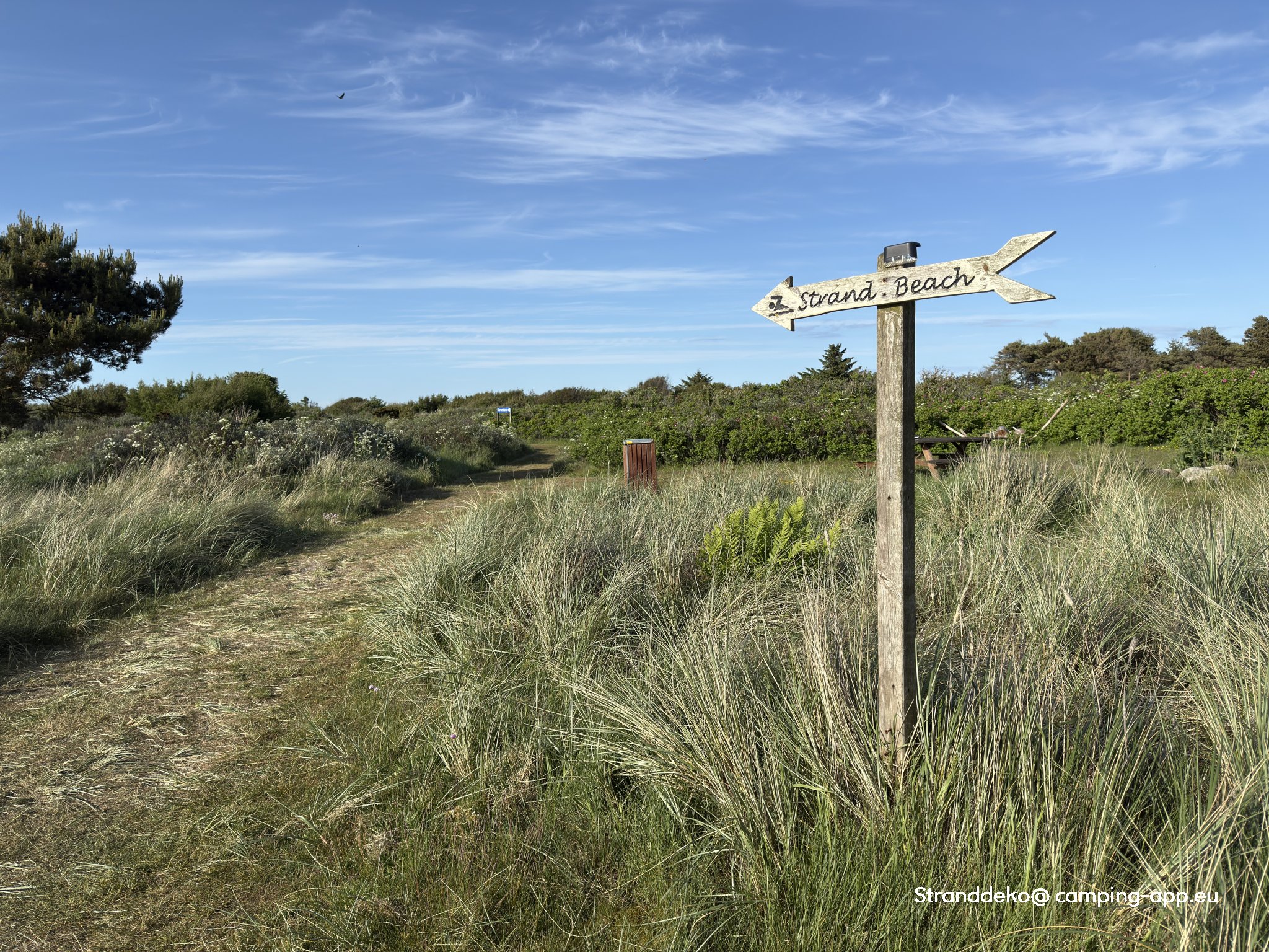 Kjul Strand Camping — Foto 4