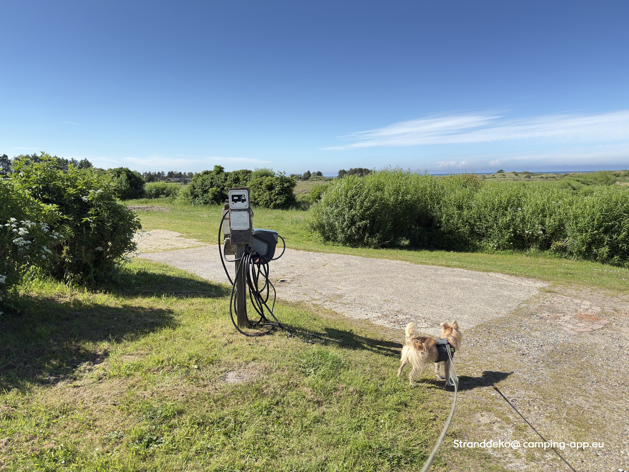 Kjul Strand Camping — Foto 6