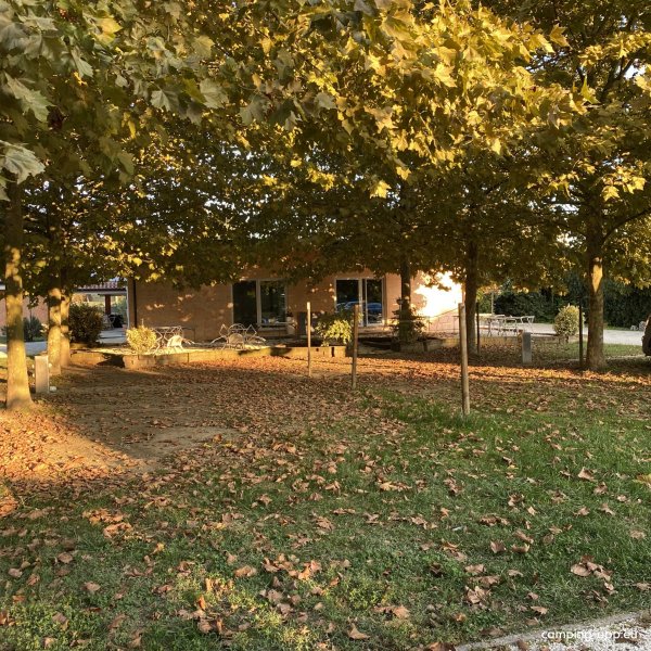 Lucciole Nella Nebbia — Photo 5