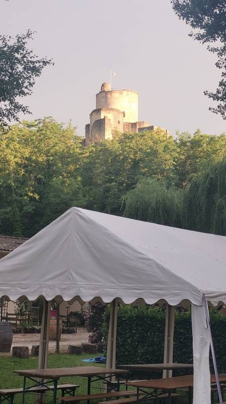 Camping du Vieux Chateau — Kemp in Rauzan