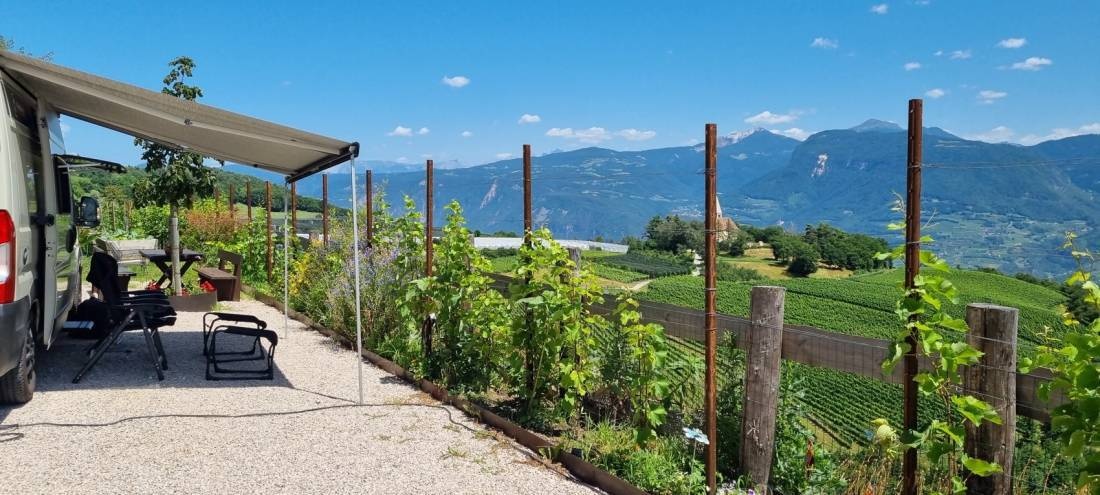 Weingut Baumgartnerhof — Winery in Cortaccia sulla strada del vino BZ