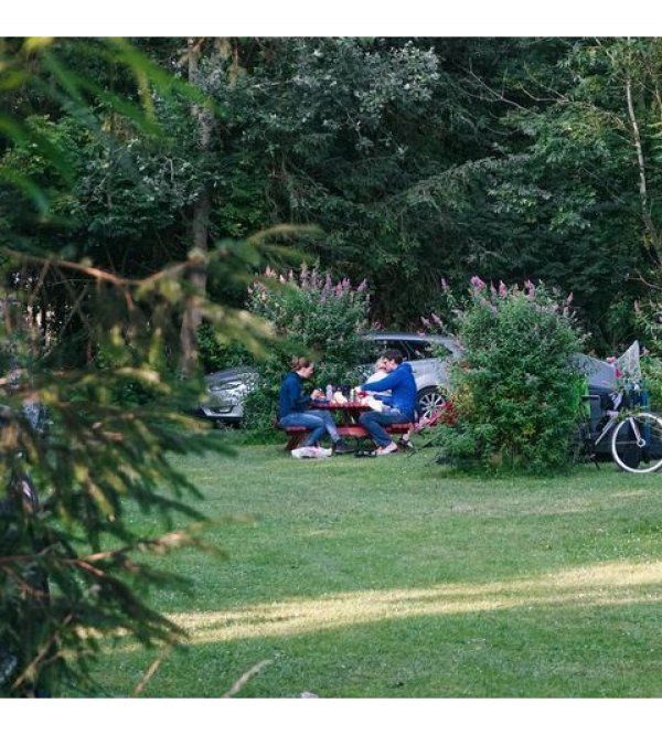 Færgegårdens Camping — Photo 6