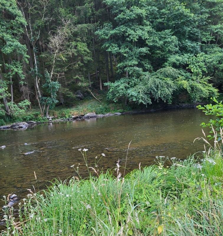 Ardennen Camping — Kemp in La Roche-en-Ardenne