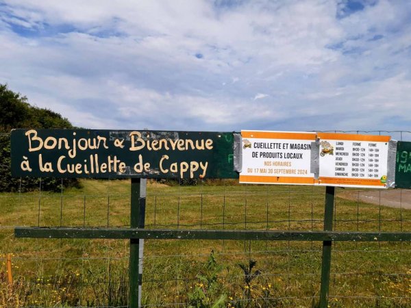 Stellplatz Cappy — Photo 3