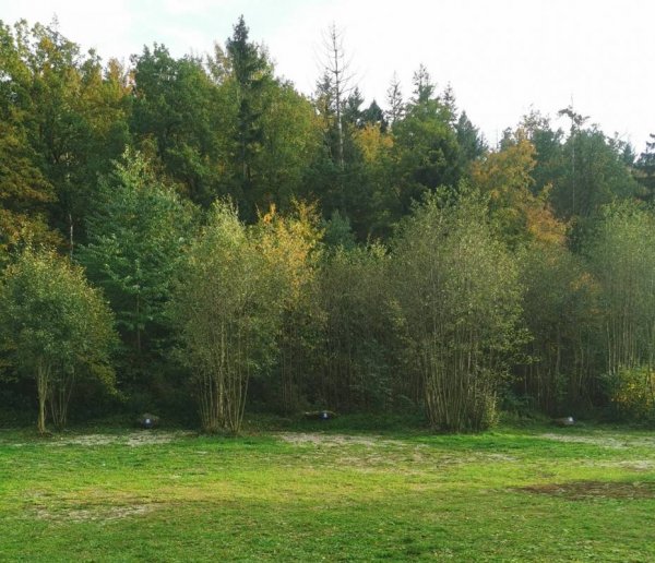 Wohnmobilstellplatz im Sandtal — Photo 2