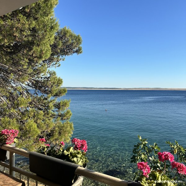 Camp & Restaurant Ante — Photo 4