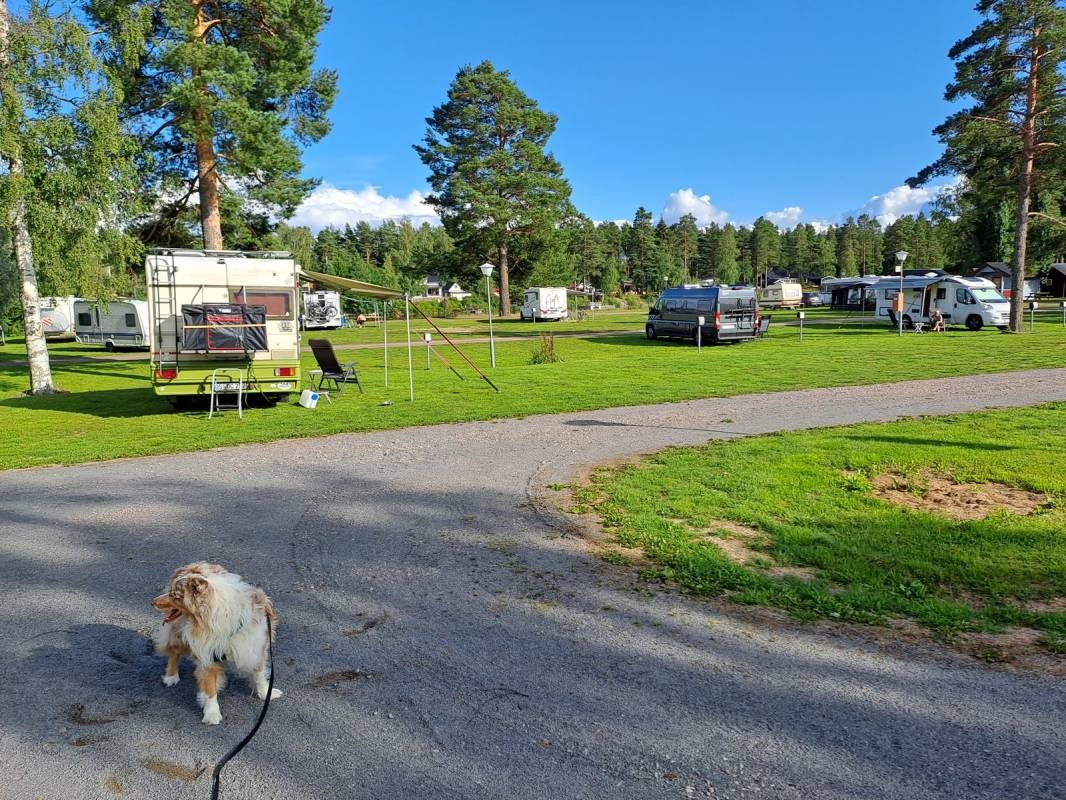 Vansbro Camping — Campingplads in Vansbro