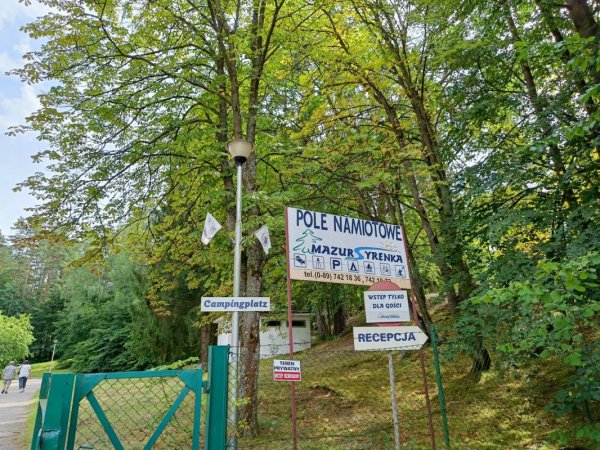 Mazur Syrenka — Photo 3