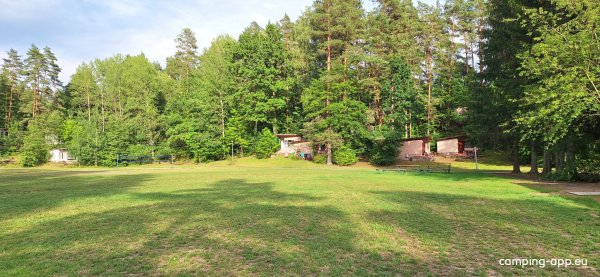 Mazur Syrenka — Photo 6