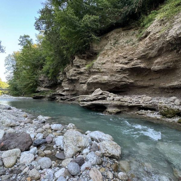 Kamp trnovc — Photo 3