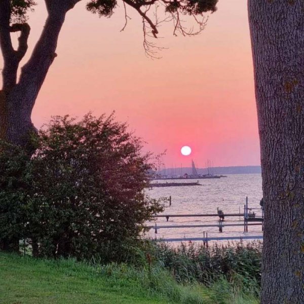 Rantzausminde Camping — Photo 4