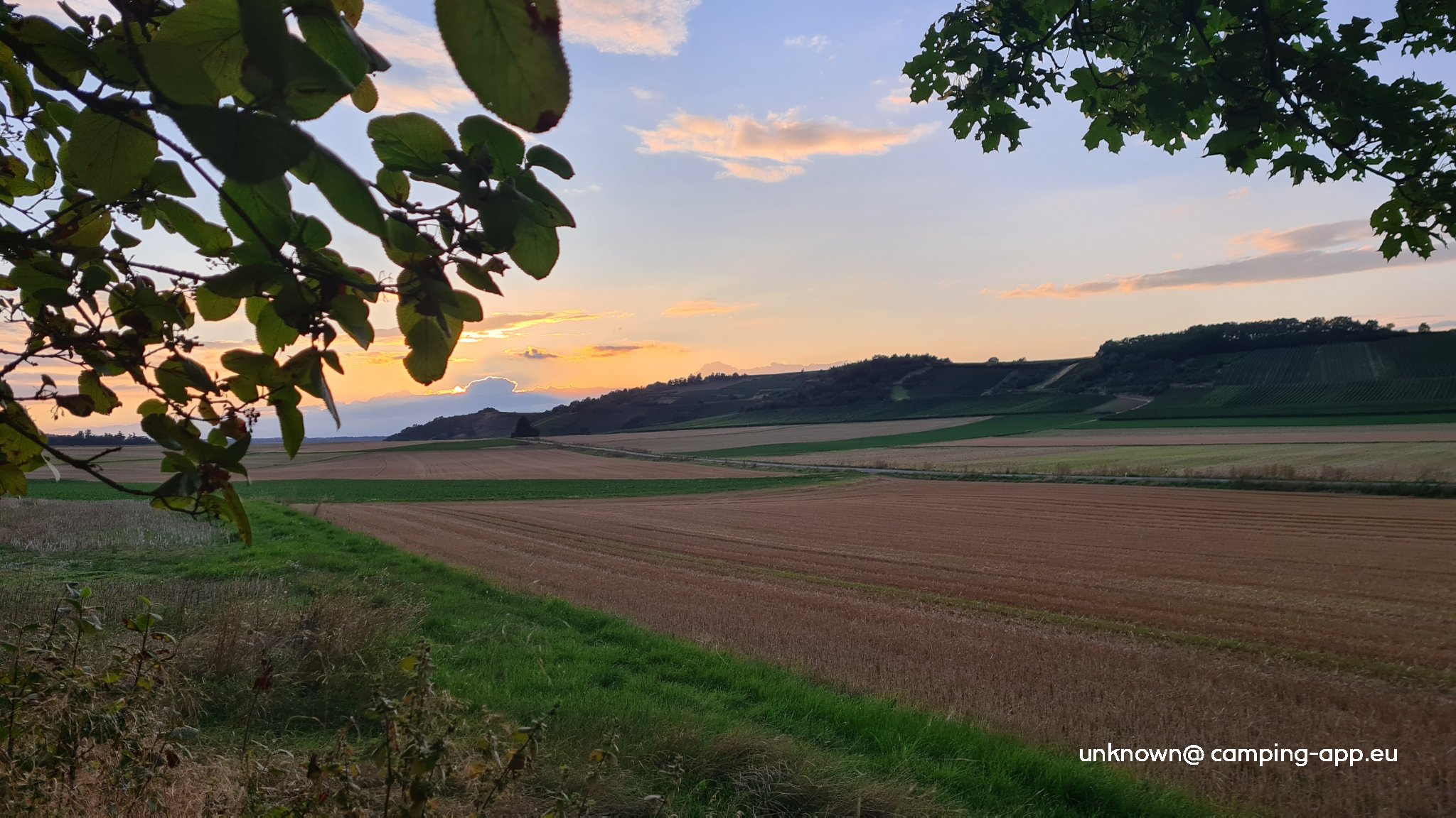 Wohnmobilstellplatz Wingertsknorze Wonsheim — Foto 2