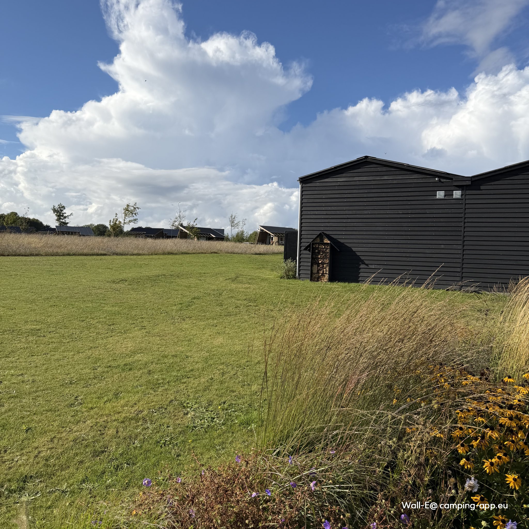 Dancamps Kolding — Foto 3
