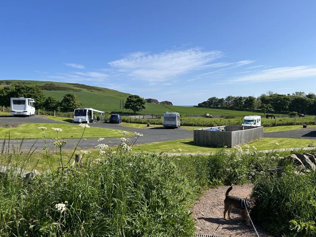 Starney Bay Caravan Site — Campingplats in Eyemouth