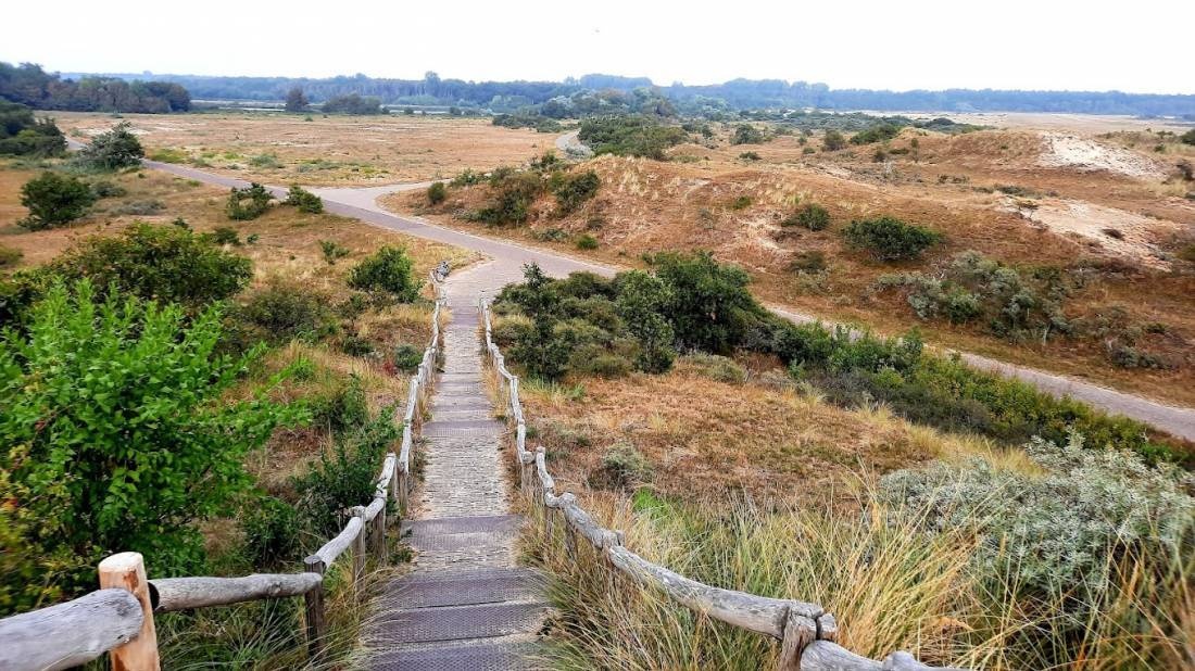 Geversduin, Castricum, Niederlande — Camping in Castricum