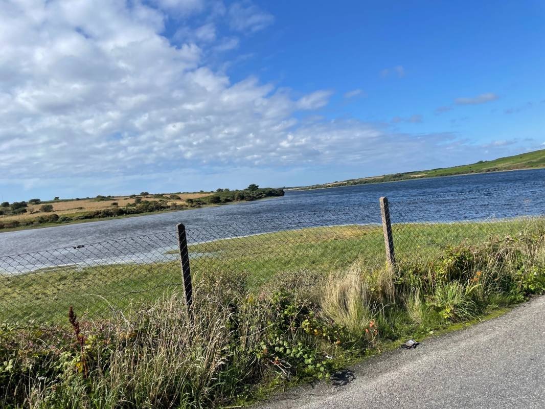 The Golden Lion Inn campsite — Camping Site in 