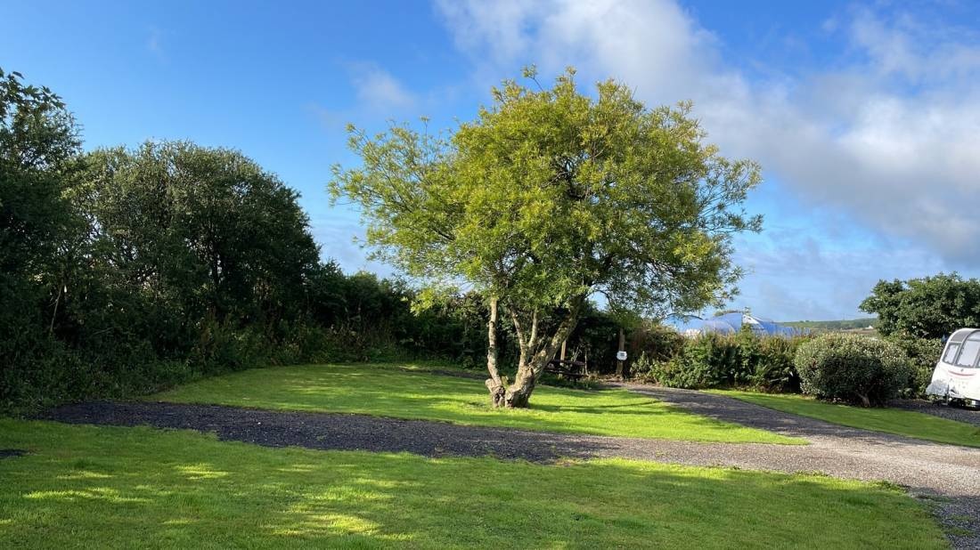 The Golden Lion Inn campsite — Camping in 