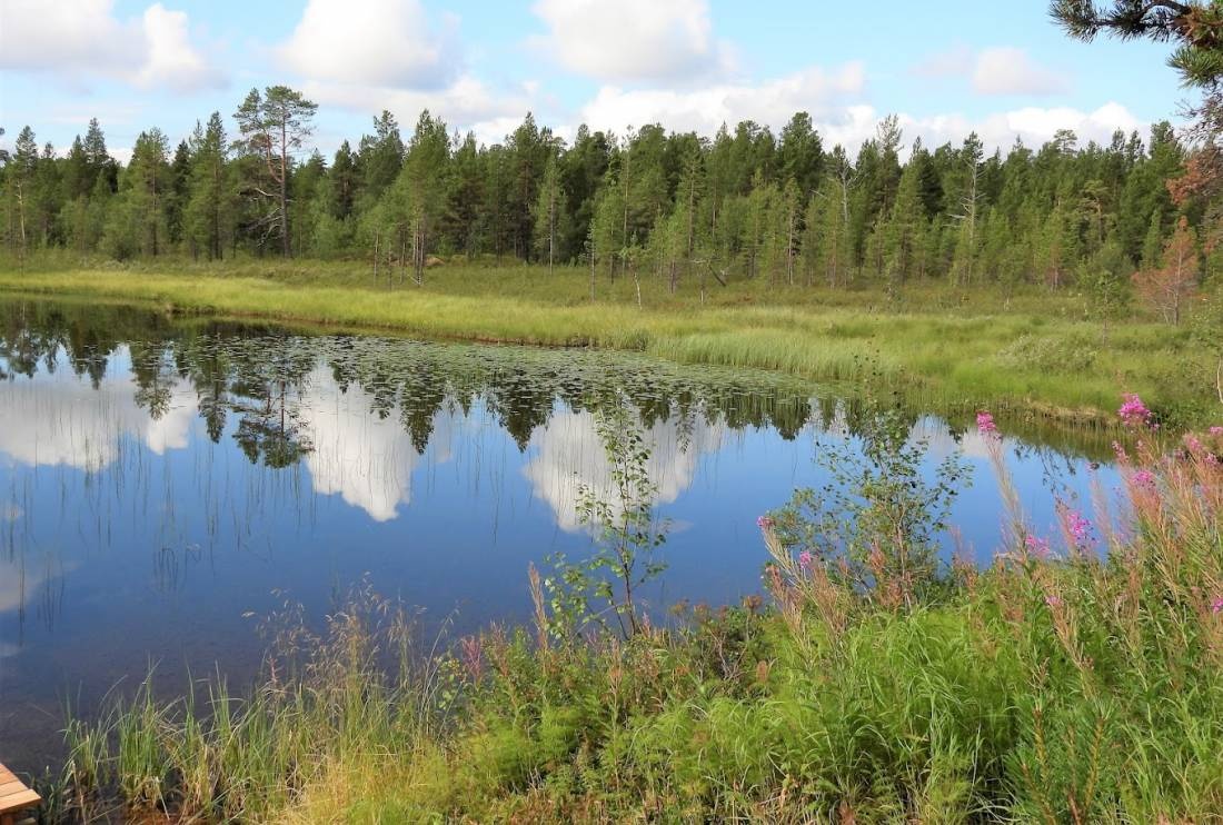 Neljän Tuulen Tupa — Camping Site in Inari