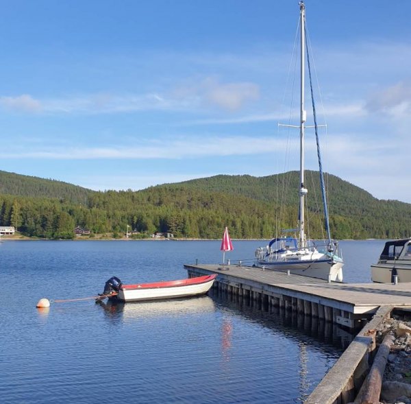 Hörsångs Camping & Havsbad — Photo 2