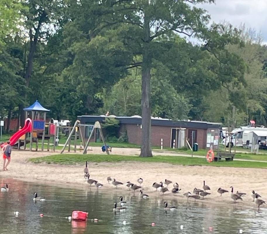 Campingplatz Lange Wisch — Area da campeggio in Ascheberg