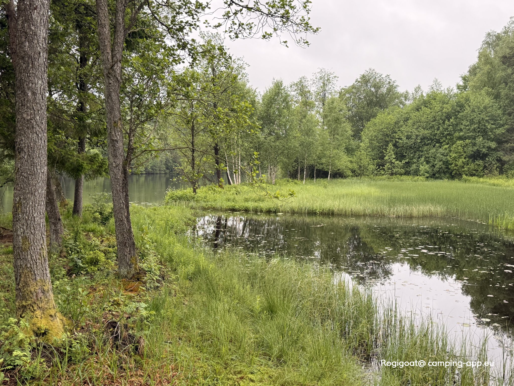 Stellplatz in Bråthult — Foto 4