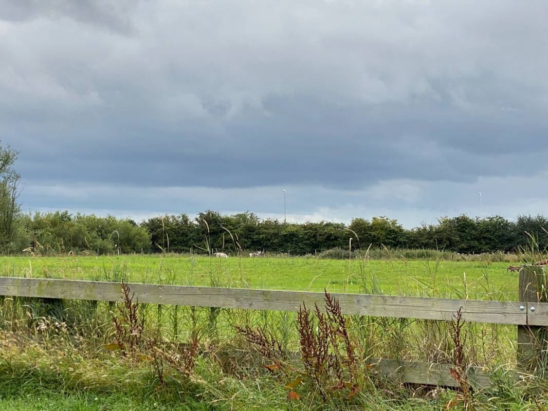 Goede Hope — Campingplatz in Hoofdplaat