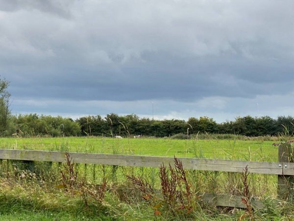 Goede Hope — Foto 6