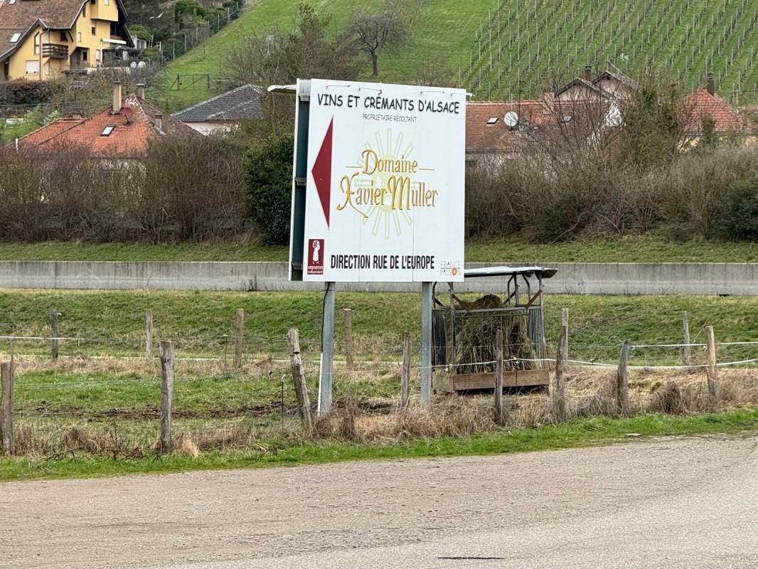 Weingut Xavier Muller — Vingård in Marlenheim