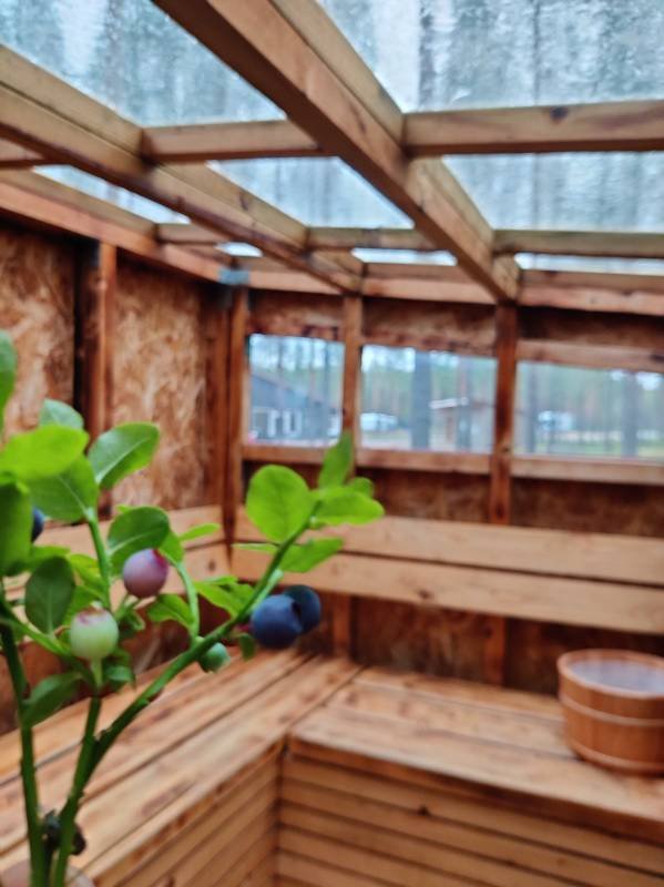 Pistocamp — Photo 2