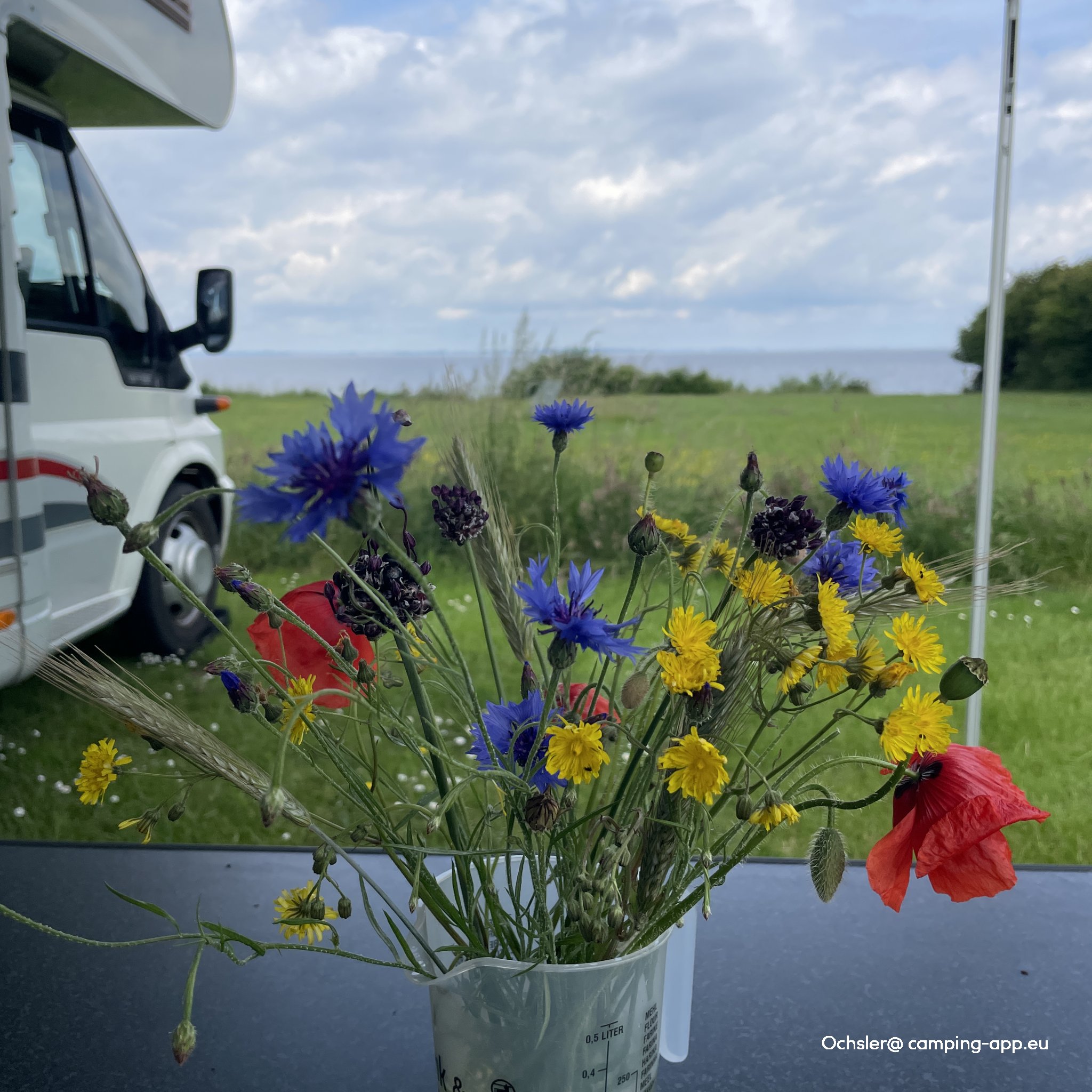 Augustenhof Camping — Foto 4