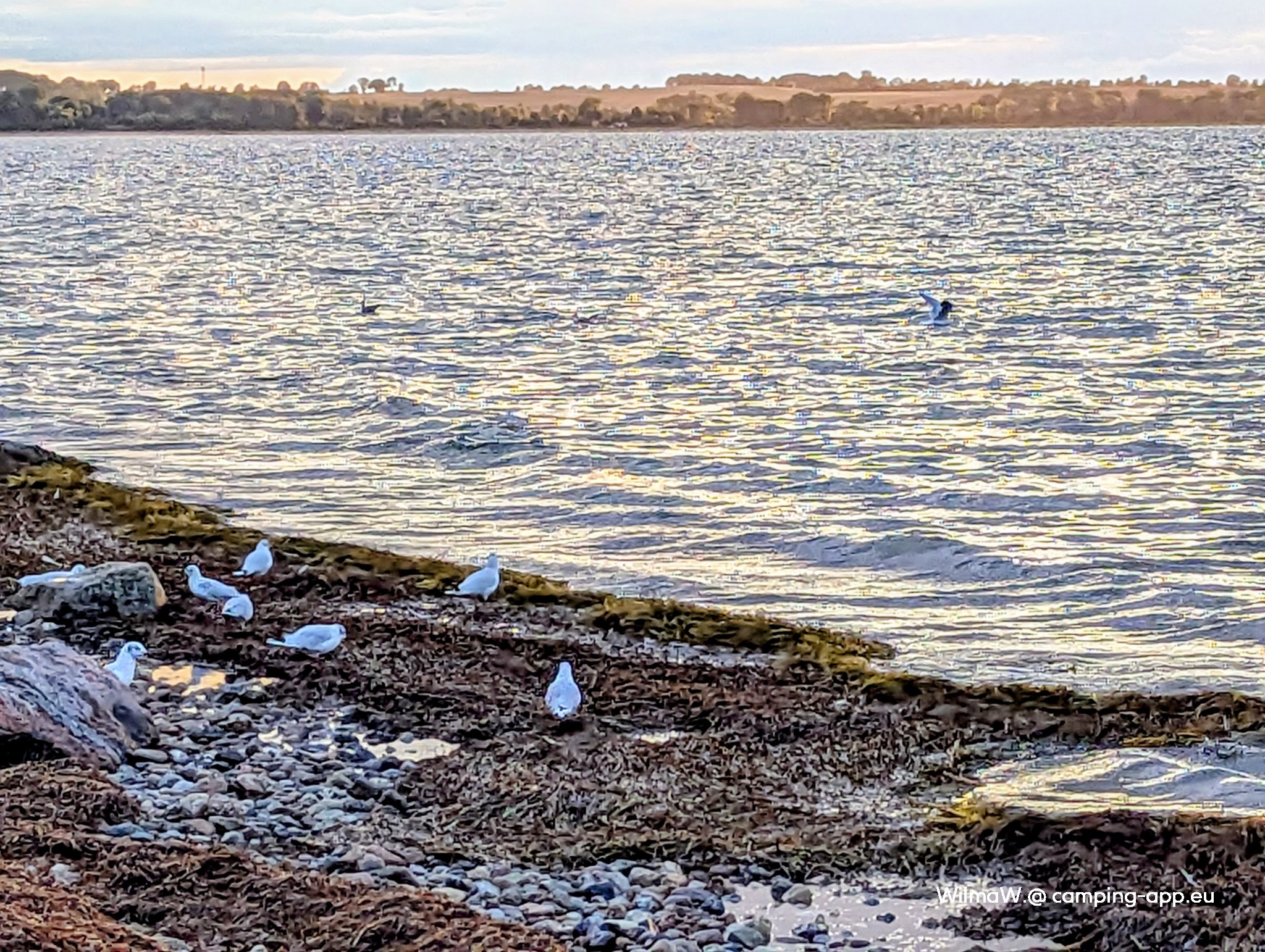 Ostseecamping Beckerwitzer Strand — Foto 4