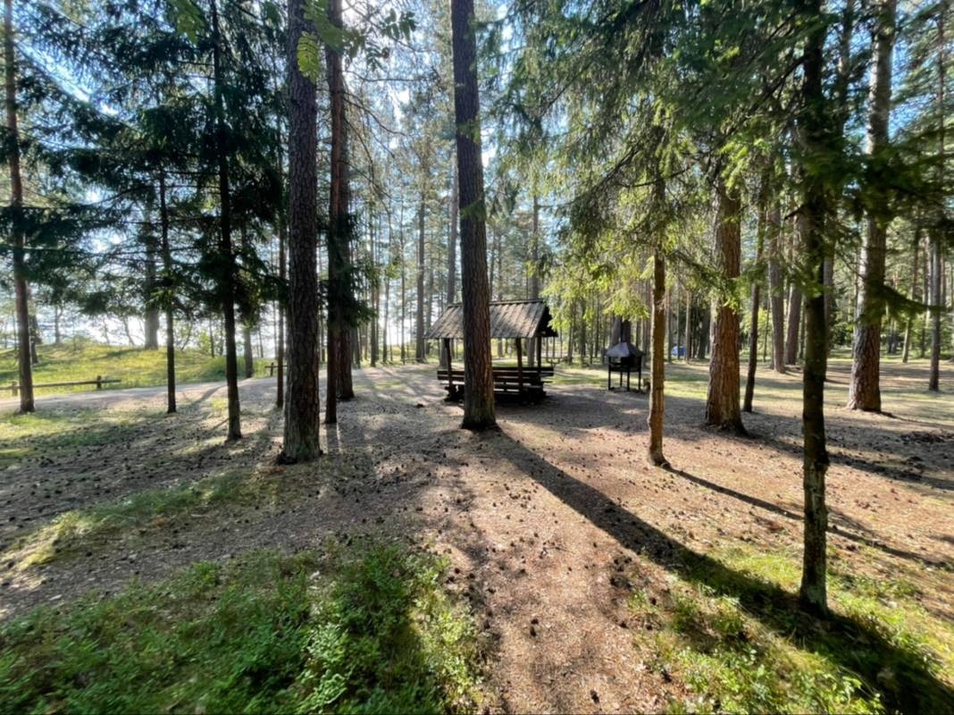 RMK Kauksi Telkimisala — Camping Site in Ida-Viru County