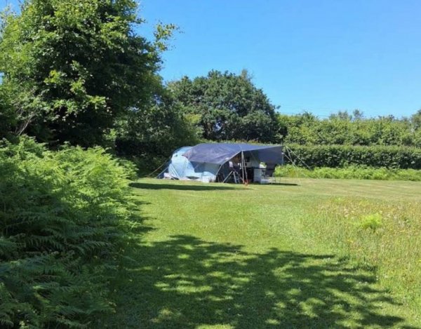 Deerpark Forest Caravan Site — Photo 3