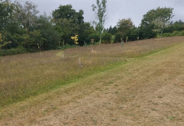 Deerpark Forest Caravan Site — Photo 2