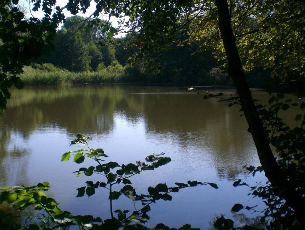 Camping Loosteich — Kamp yeri in Mariental