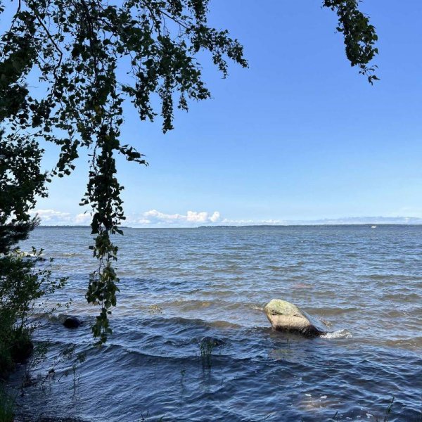 am Golfplatz von Mariestad — Photo 4