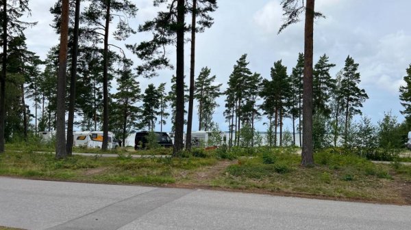 am Golfplatz von Mariestad — Photo 2