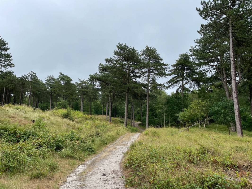 Camping Oranjezon — Місце для кемпінгу in Vrouwenpolder