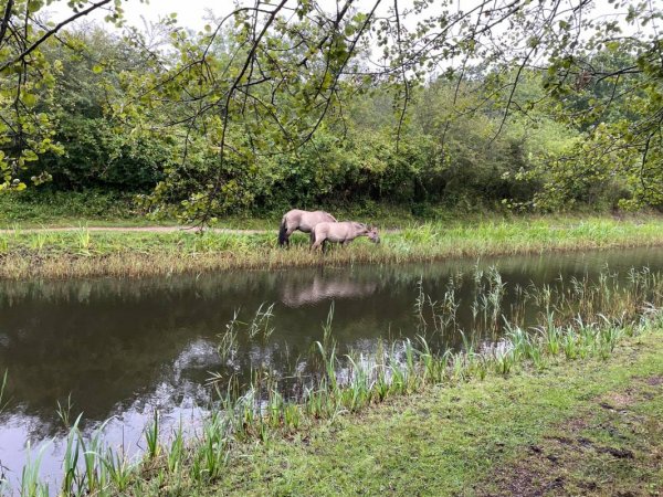 Camping Oranjezon — Photo 4