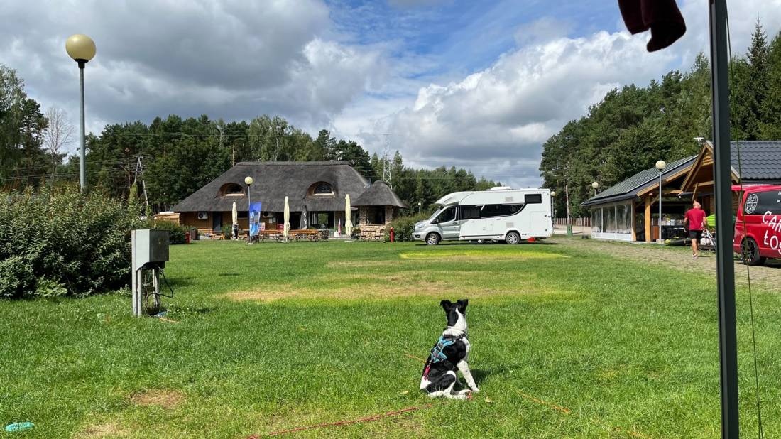 Camping Łoś — Campingplass in Adamów