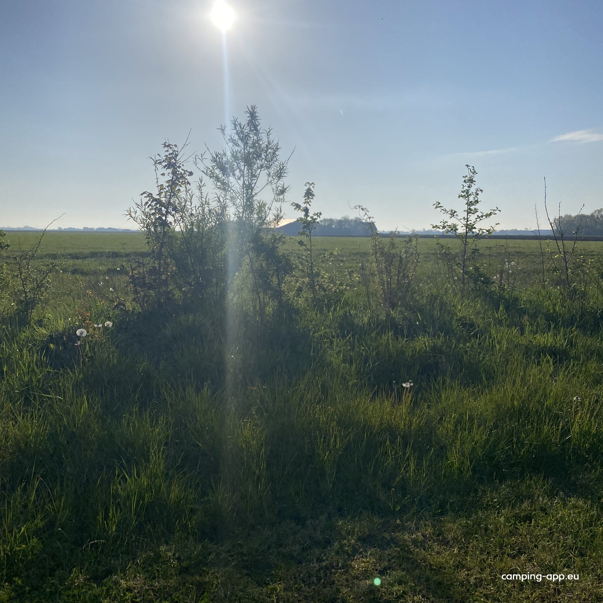 Texelsun Camping — Photo 4