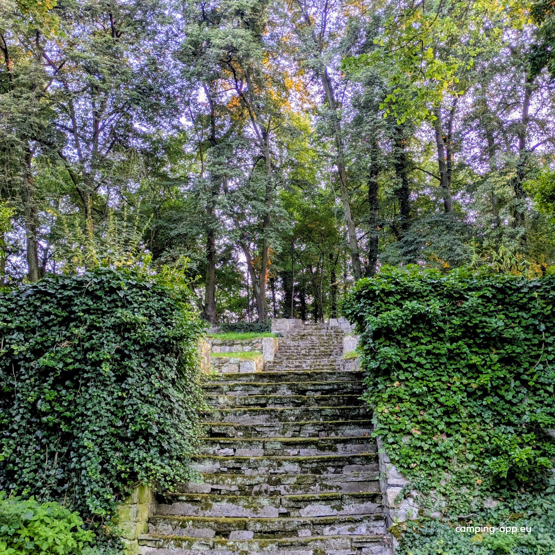 Camper Park Lasów — Fotoğraf 6