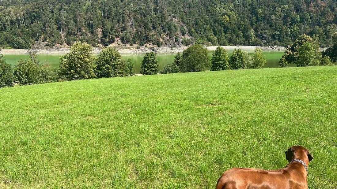 Ferienpark Saaldorf — Camping in Bad Lobenstein