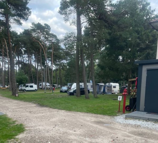 SeaCamp Rogowo — Photo 3