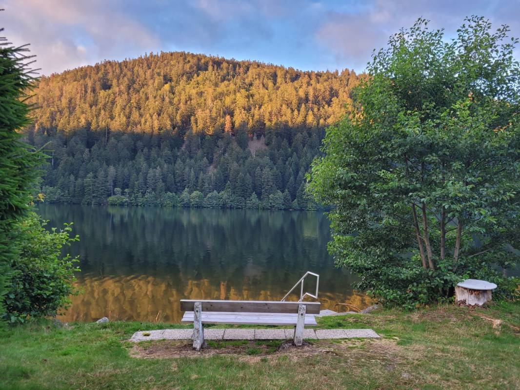 Belle Rive — Campingplats in Xonrupt-Longemer