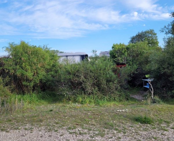 Djupvik camping — Photo 2