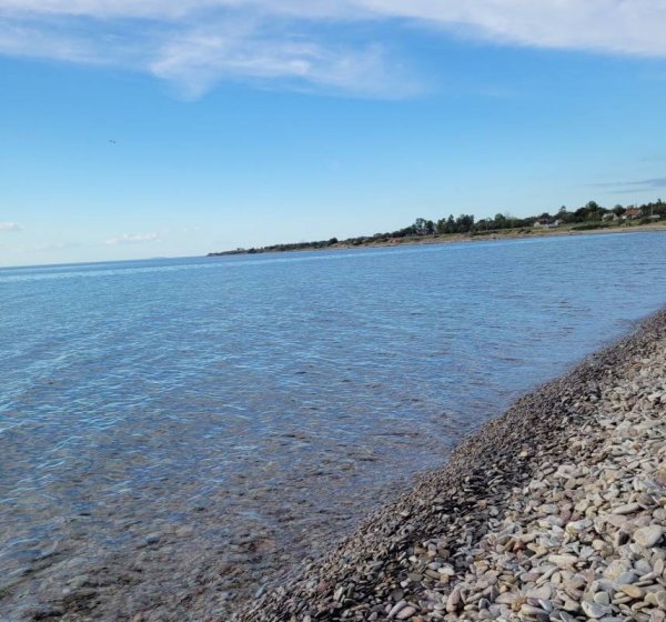 Djupvik camping — Photo 3