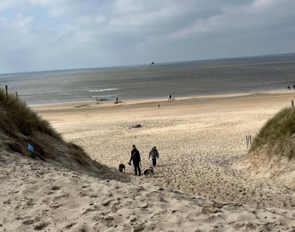 Camperplaats de Duinhoeve — Photo 6