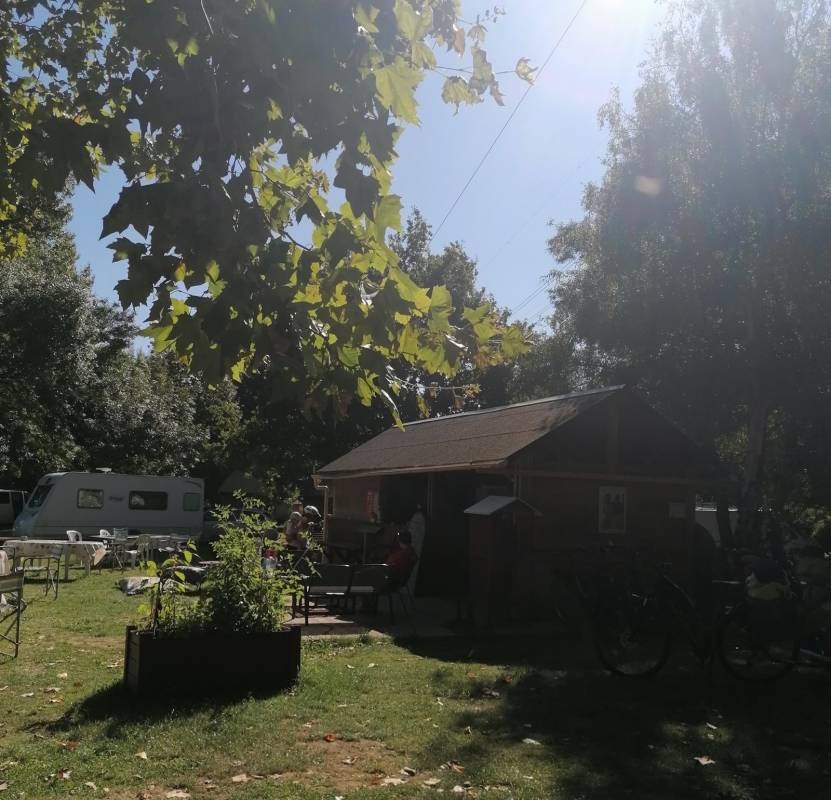 Camping Les Terres de Belle Rive — Cámping in Candes-Saint-Martin