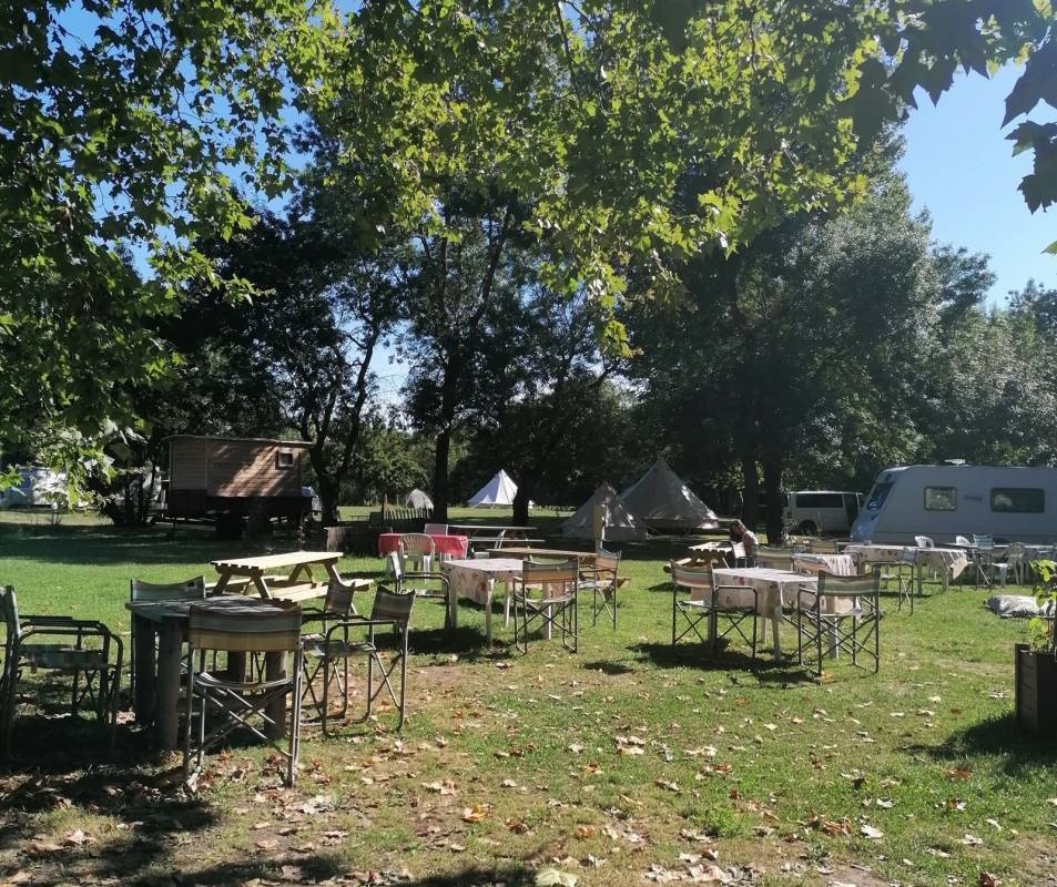 Camping Les Terres de Belle Rive — Kamp yeri in Candes-Saint-Martin